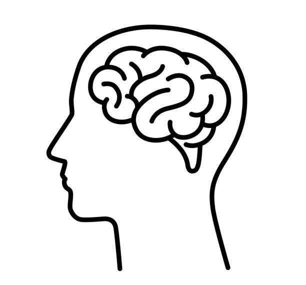 brain and human head icon
