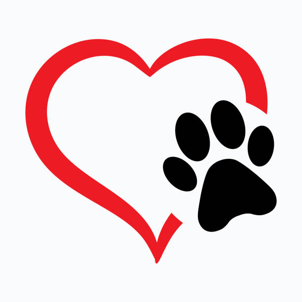 animal love symbol paw print with heart, isolated vector